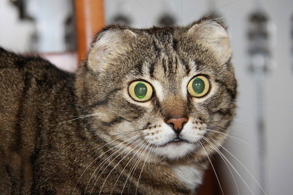 Мария Ртищева