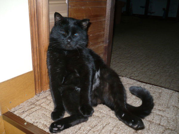 Сергей Архипов