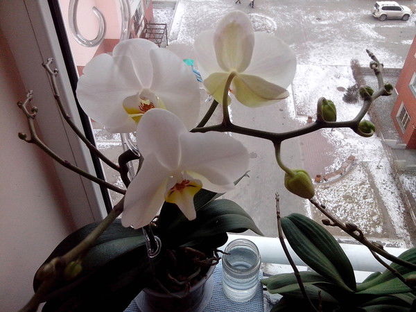 Татьяна Баймухамедова