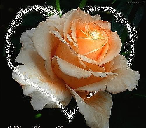 Гу Отдел Культуры