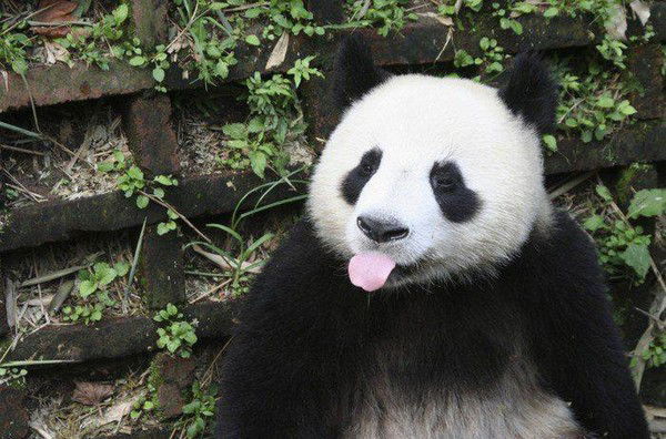 Серега Живнодеев