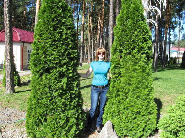 Анна Волосевич