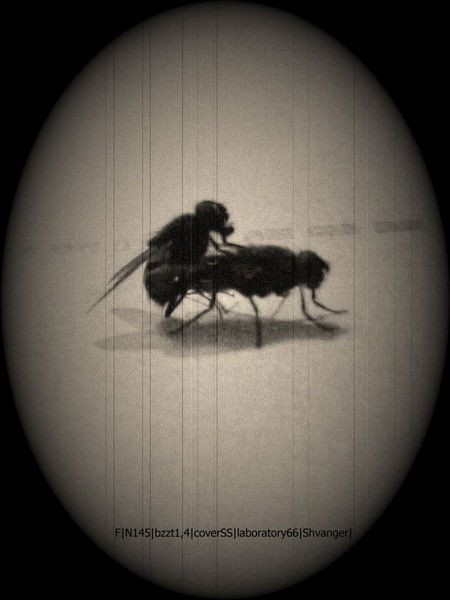 Антон Рыбкин