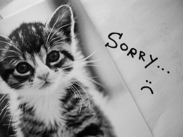 Артём Лагутик