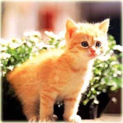 Марина Стукалина