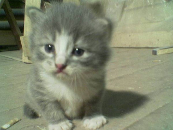 Неизвестно Неизвестно