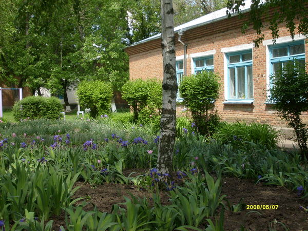 Моу Оош №12 Основная Школа