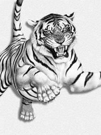 Виталий Сивков