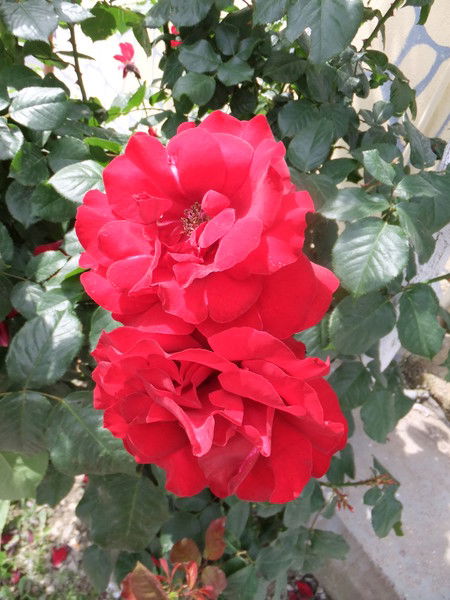 Татьяна Белоглазова