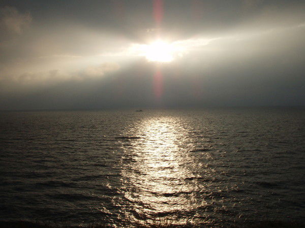 Елена Бертрам