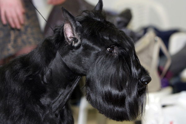 Ирина Быкова