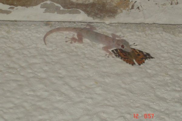 Татьяна Маркова