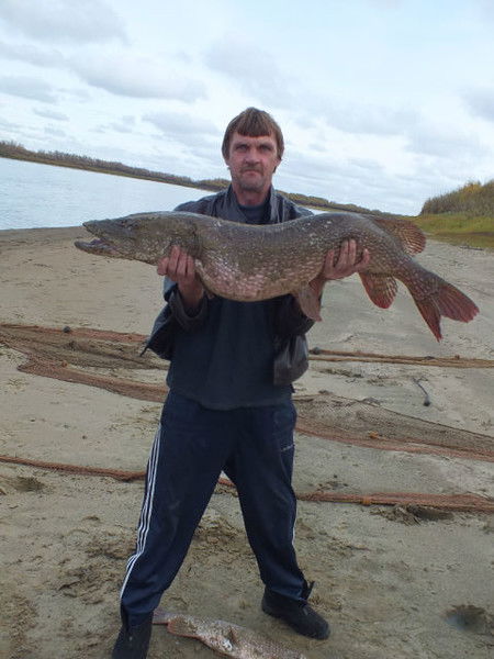 Сергей Нагаев