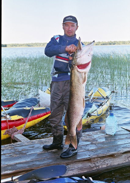 Алексей Гордиенко