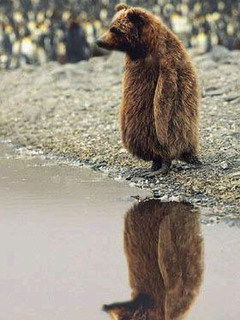 Юрий Назаров