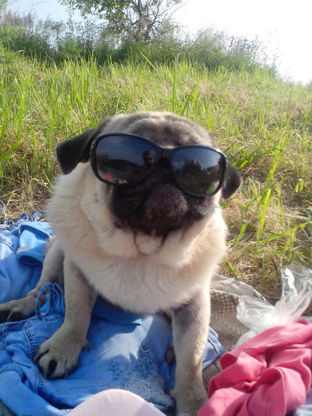 Инна Юнкина