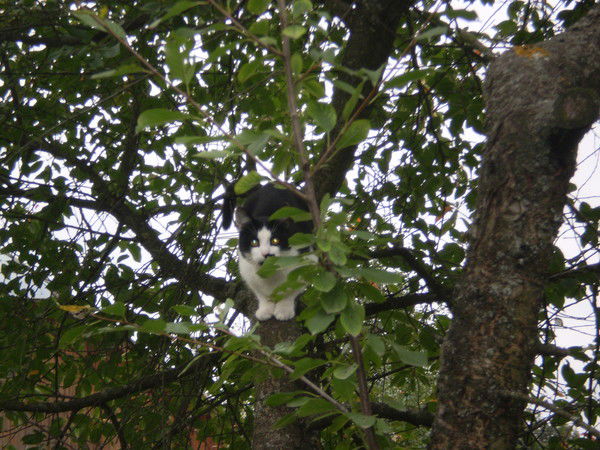 Татьяна Иванова