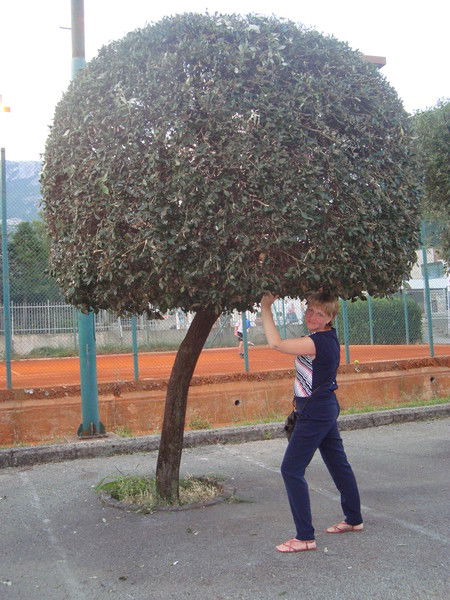 Елена Паршикова