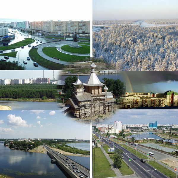 Светлана Шанина