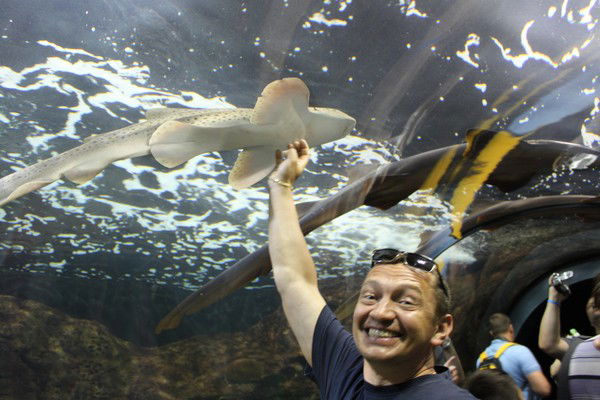 Неизвестно Неизвестно