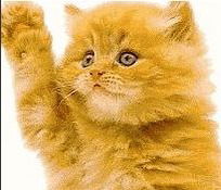 Альберт Гумеров