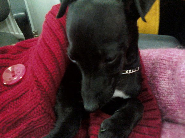 Ольга Лиханова