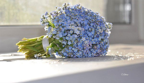 Даурен Мусин