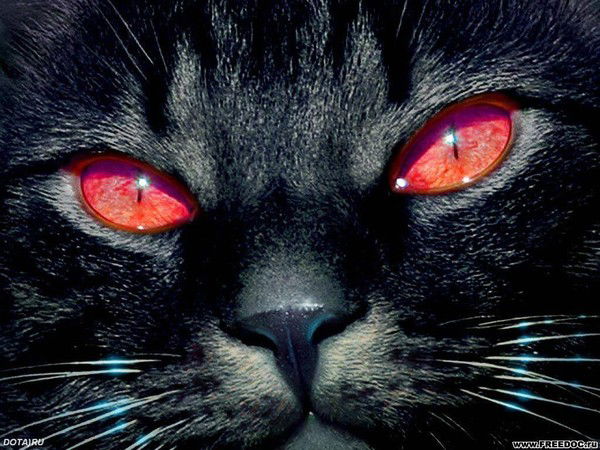 Людмила Николаевна Федяева