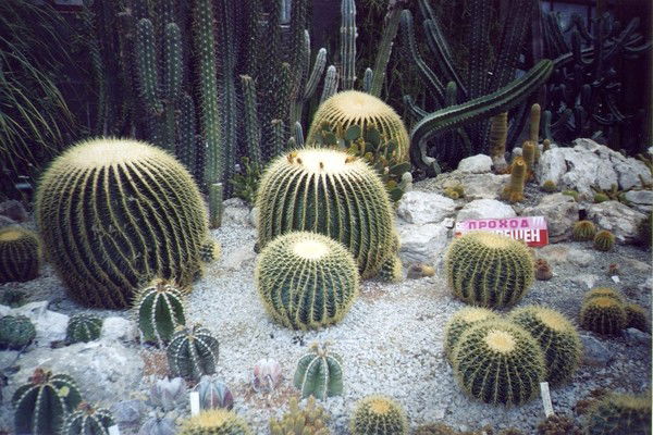 Файзуддин Усмонов