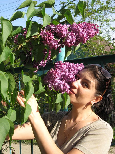 Александра Шмалакова