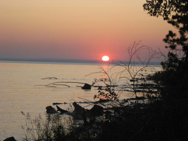 Елена Плеханова