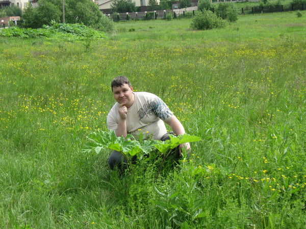 Алексей Корелин