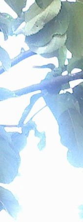 Галия Забирова