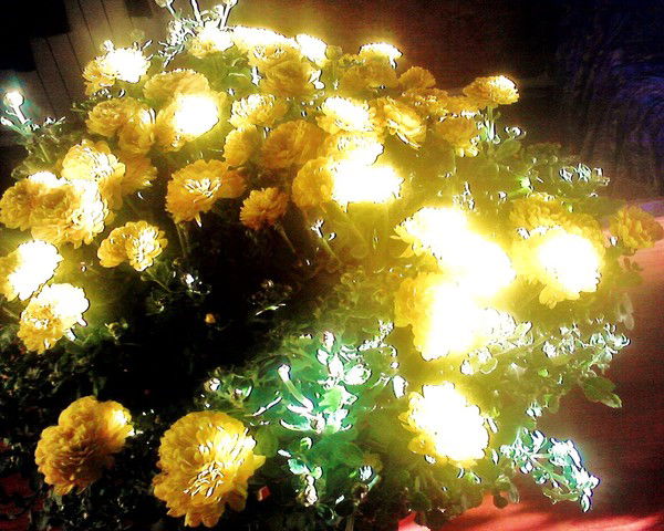 Ирина Салатанова