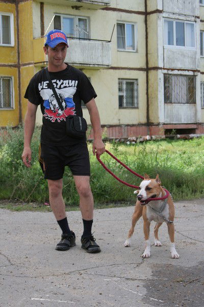 Александр Головкин