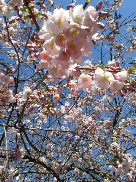 Виталик Виталик