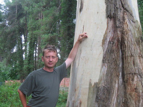 Александр Дружаев