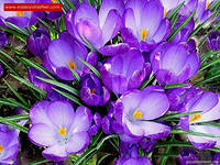 Асель Жунусова