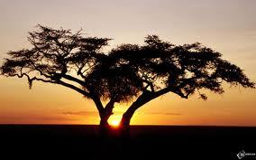 Артём Якушев