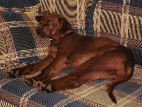 Евгений Арехта