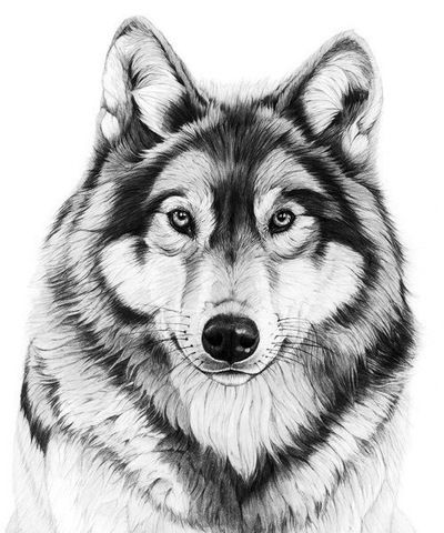 Василий Иванов