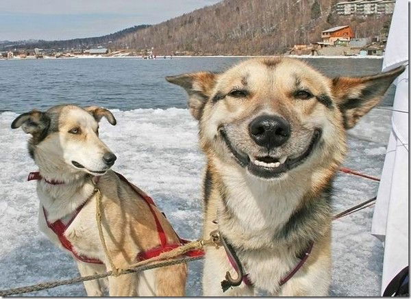 Ильяс Кулинов