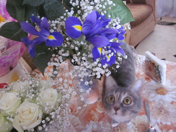 Любовь Полушина