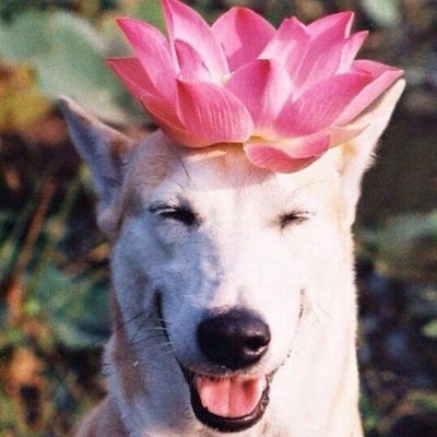 Роман Кондаков