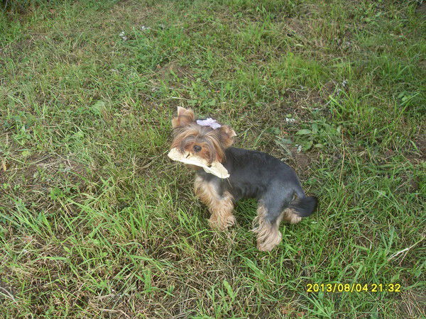 Евгений Михалыч