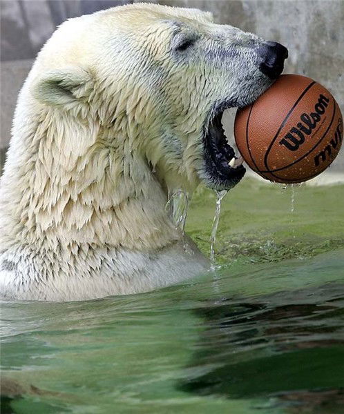 Андрей Яровенко