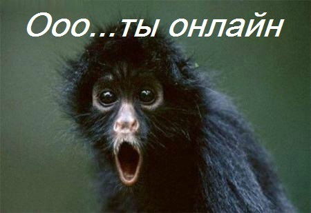 Илья Курносенко