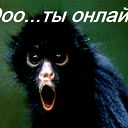 Илья Курносенко