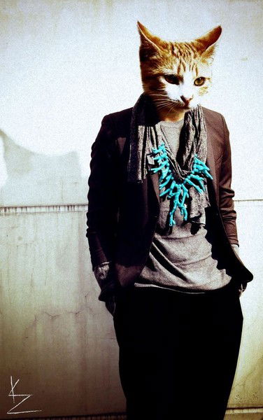 Александр Владимирович