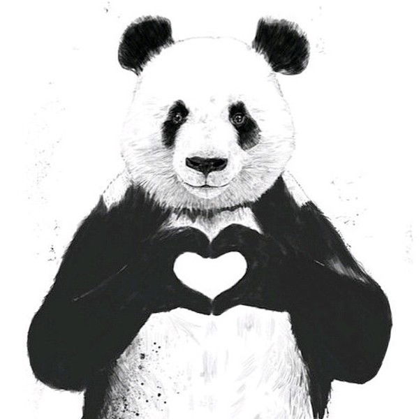 Елена Вывознова